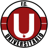 Nacional Potosi vs Universitario de Vinto