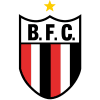 Botafogo SP vs Paysandu PA